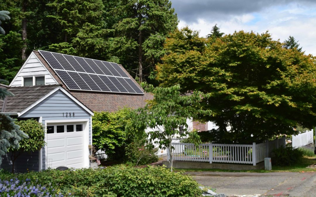 Do Solar Modules Ever Repay Their Energy Debt?