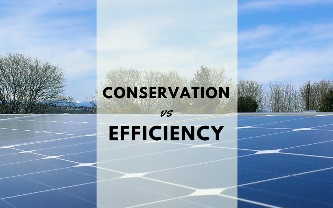 Conservation vs. Efficiency