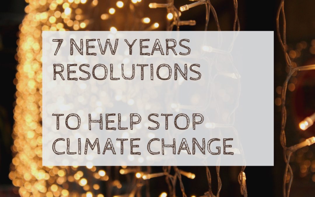 7 New Year’s Resolutions To Help Stop Climate Change